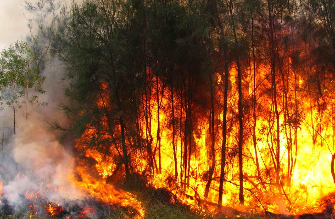 Incêndios - Período Crítico - 1 de julho a 30 de setembro